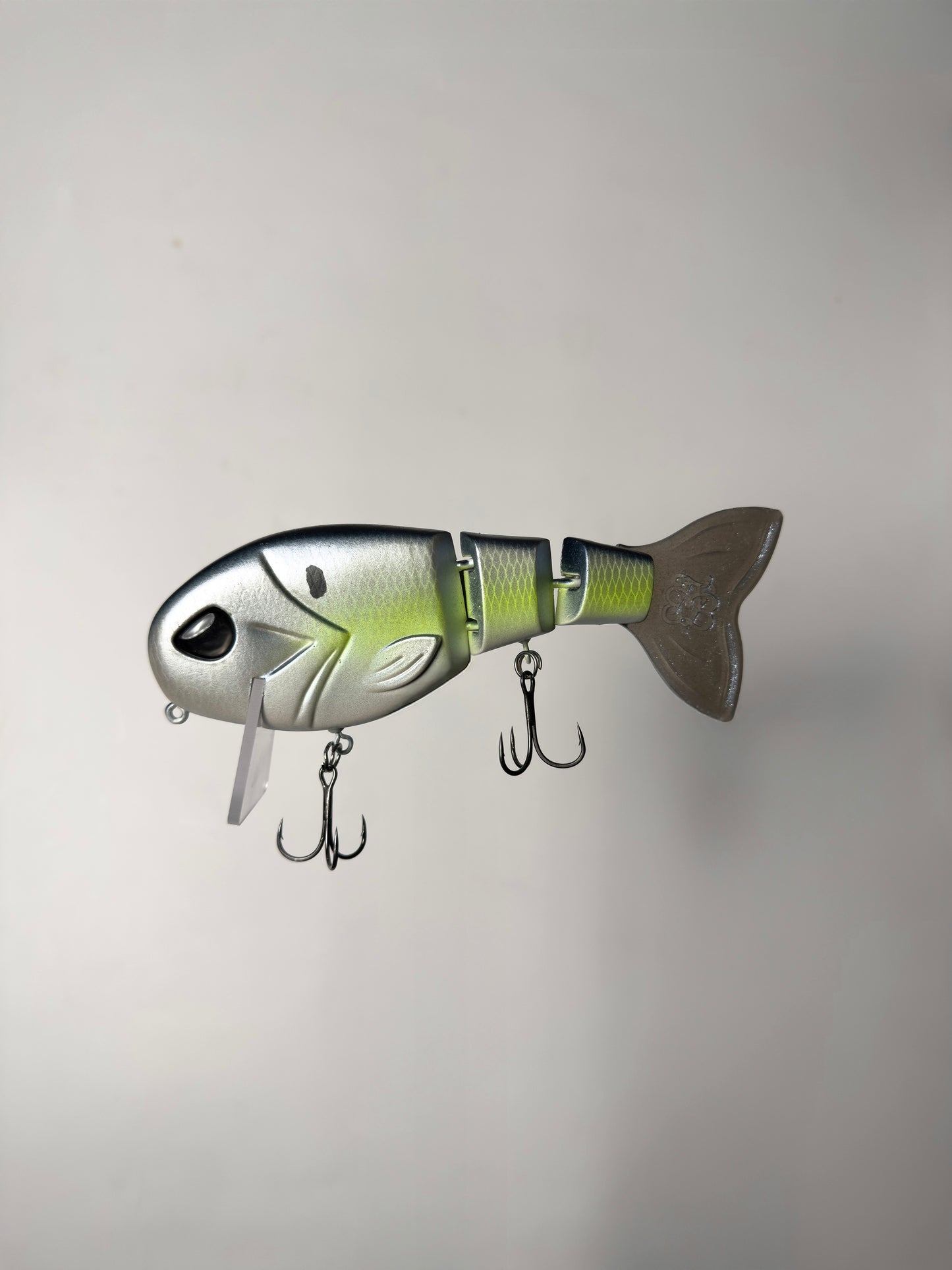 “Electric Light” WakeWalker