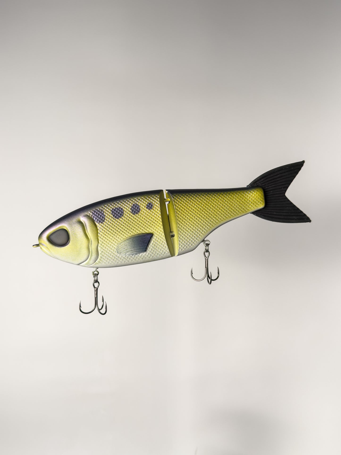 "American Shad" Retro CT Glide