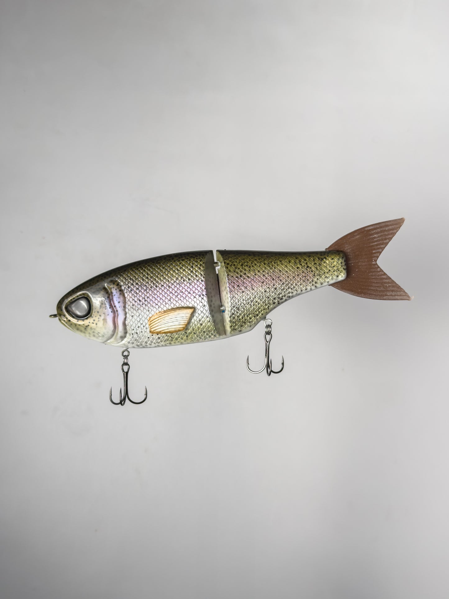 "Rainbow Trout" Retro CT