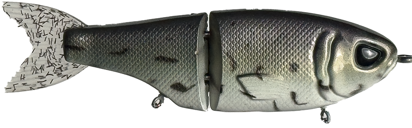 Minne Glide | "Crappie" | Retail