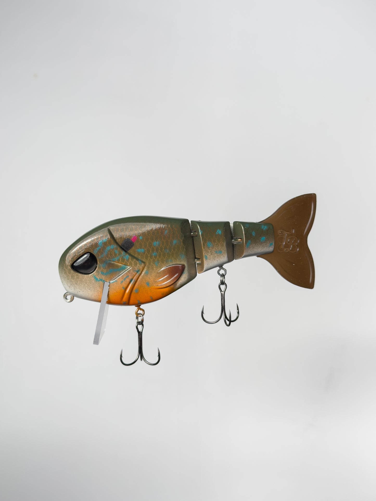 "Pumpkinseed" WakeWalker