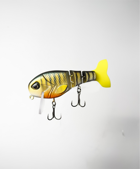 "Desert Gill" Cheat Code