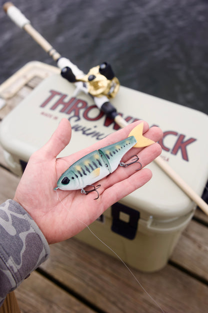 Muscadine Bloodline "Baby Bass" Minne Glide