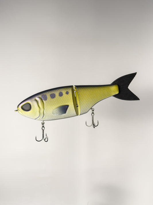 "American Shad" Retro CT Glide