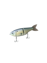 Baitfish