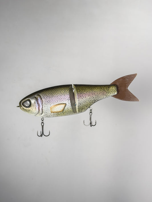 "Rainbow Trout" Retro CT