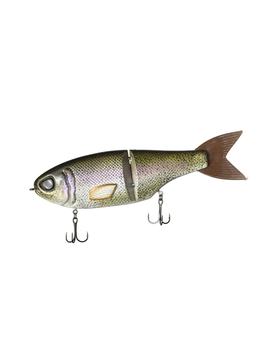"Rainbow Trout" Retro CT