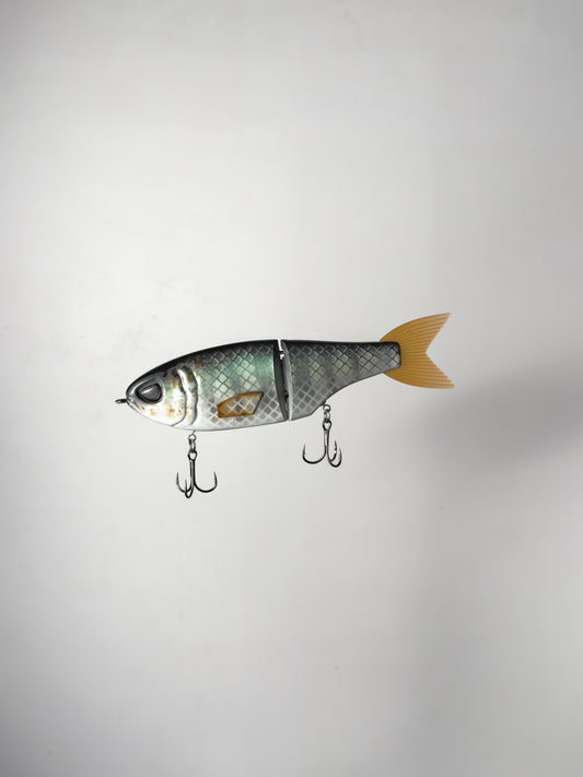 "CC Tilapia" Metro Glide