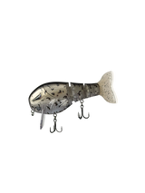 Crappie