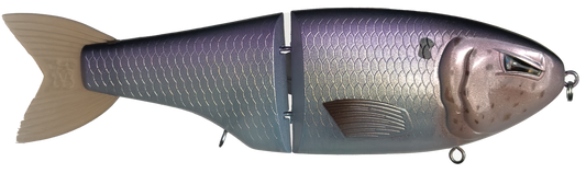 "American Shad" Metro LT | Retail