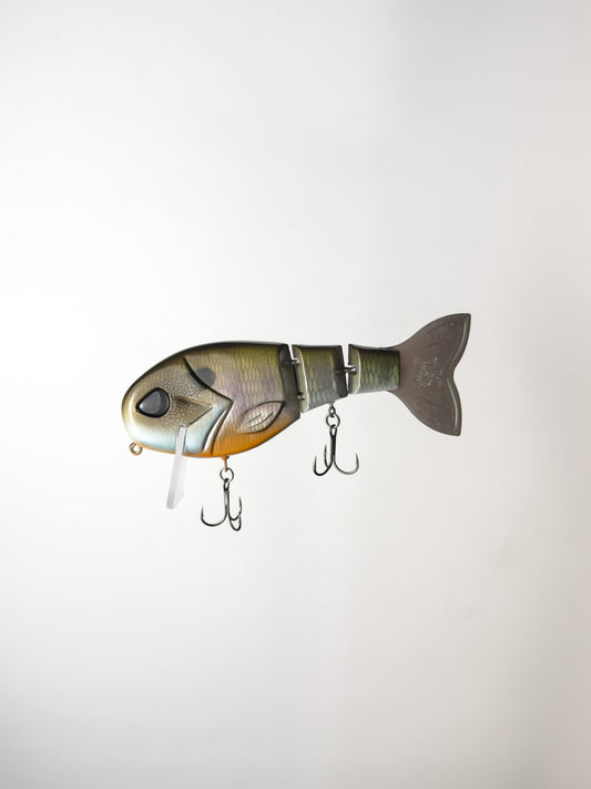 "Blush Gill" WakeWalker