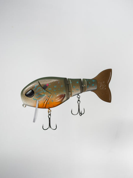 "Pumpkinseed" WakeWalker