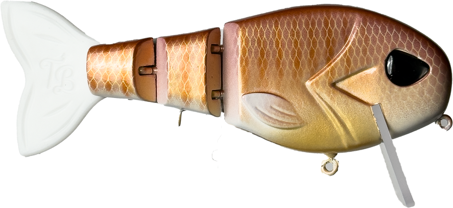 Wake Walker | "Rose Gill" | Retail