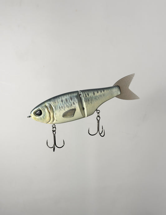 "HD Sardine" BG Metro