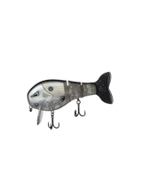 Shad