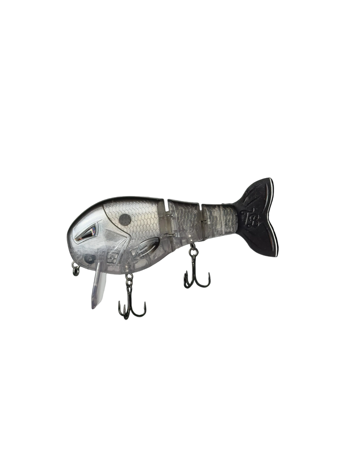 Shad