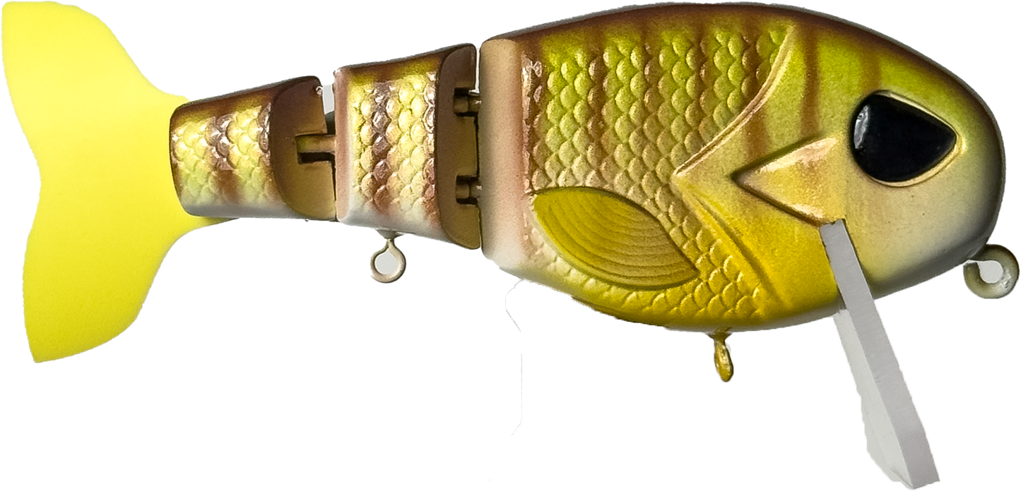 Cheat Code | "Summer Gill" | Retail