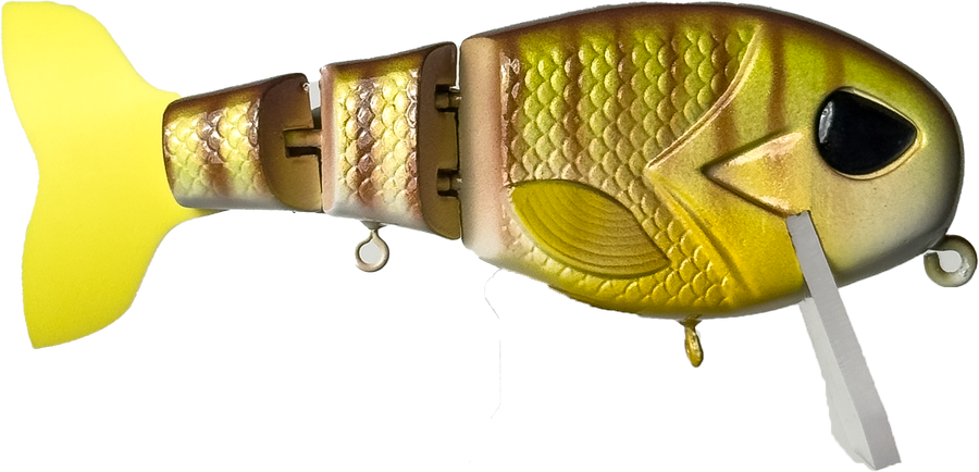 Cheat Code | "Summer Gill" | Retail