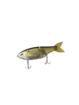 Tennessee Shad