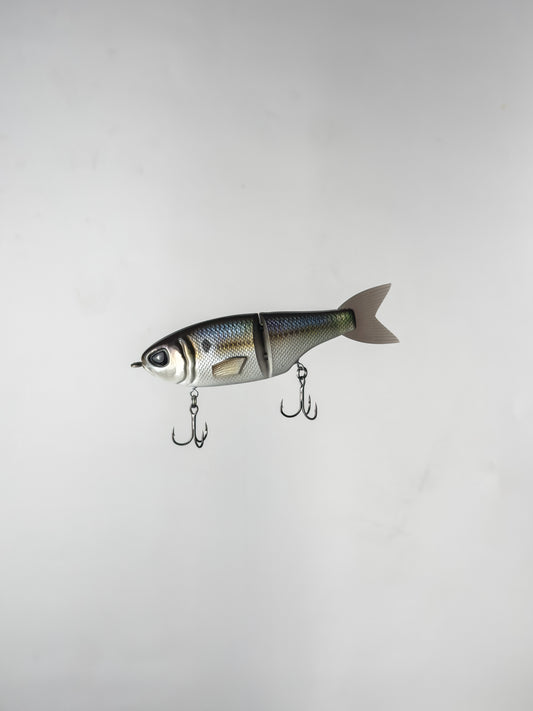 "American Shad" Minne Glide