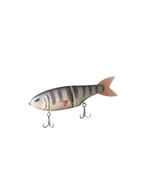 Tilapia
