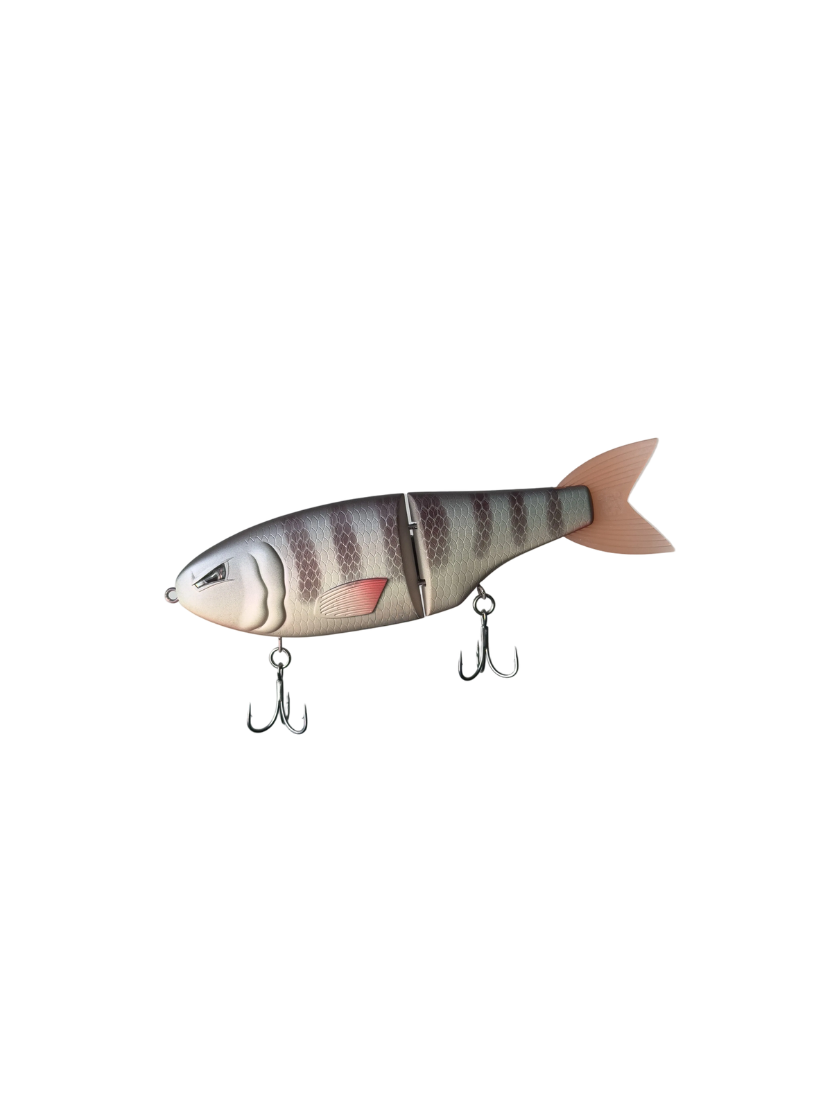 Tilapia