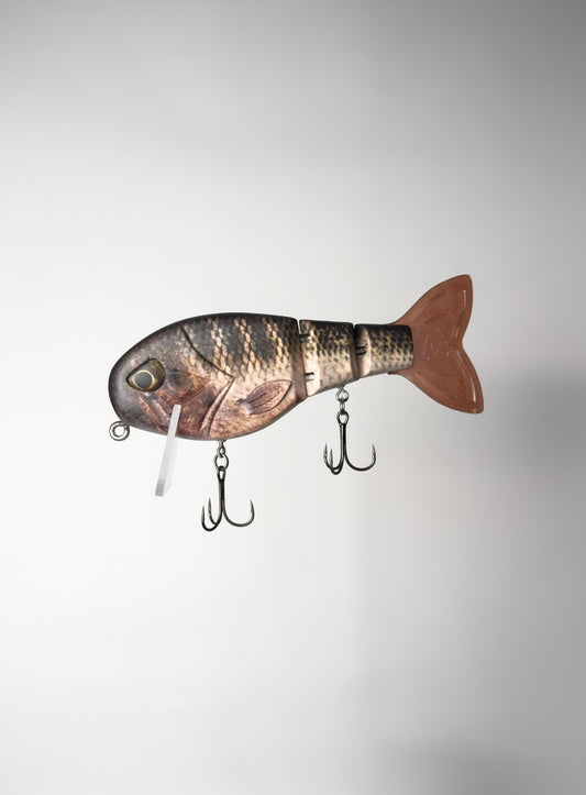 "HD Tilapia" WakeWalker