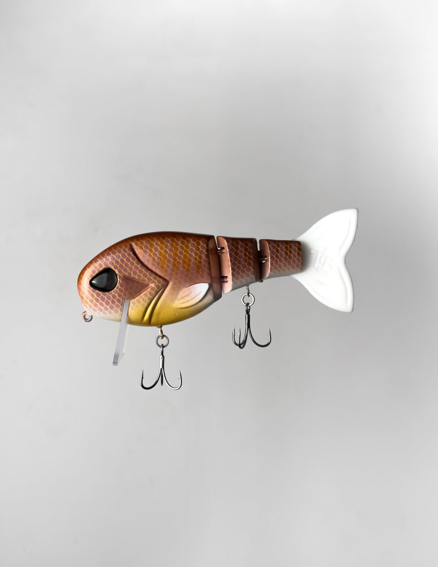 “Rose Gill WakeWalker