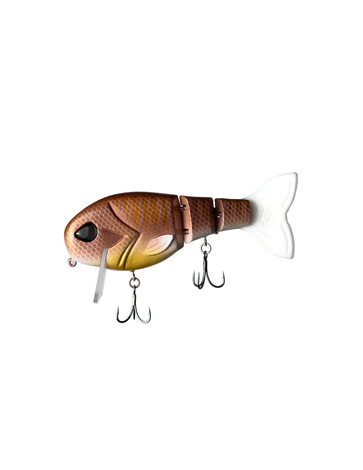 “Rose Gill WakeWalker
